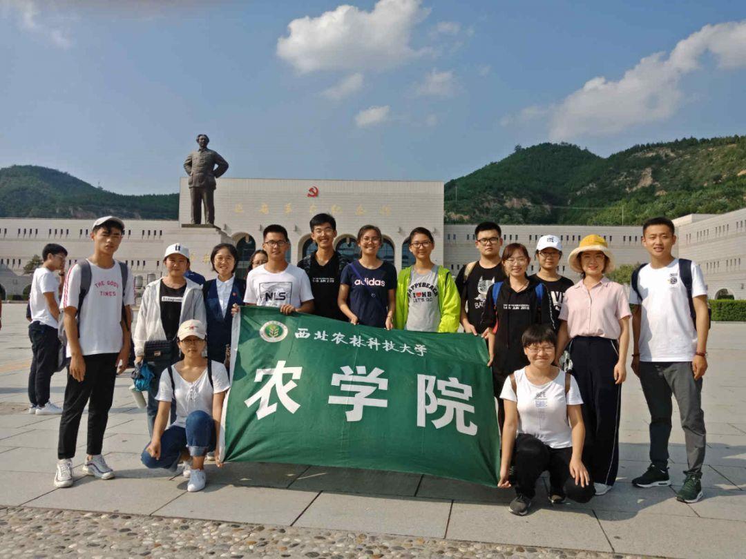 彩丽公主日常装扮